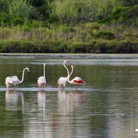 Lejlighed Vh Costablanca - Naima Calpe
