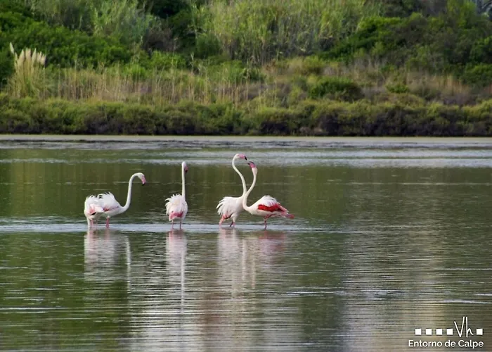 דירה Vh Costablanca - Naima קלפה